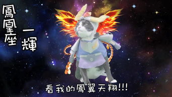 從全球熱播到產(chǎn)業(yè)鏈延伸 《名偵探柯南》動(dòng)漫游戲開發(fā)的全球化策略